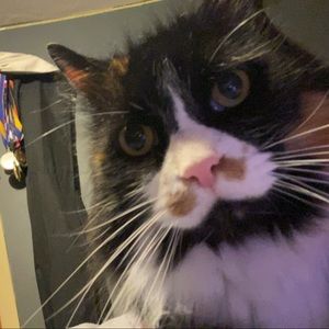 Meet your Posher, Abbigail